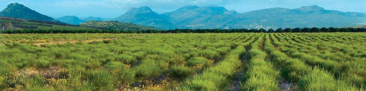 South Africa