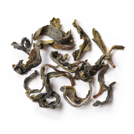 Himalayan Shiiba (sample)