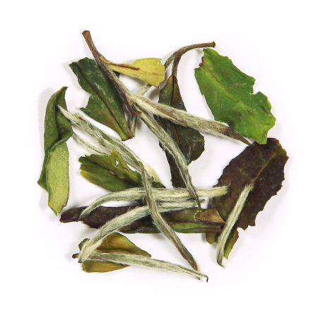 White Peony (bulk 1 lb) 